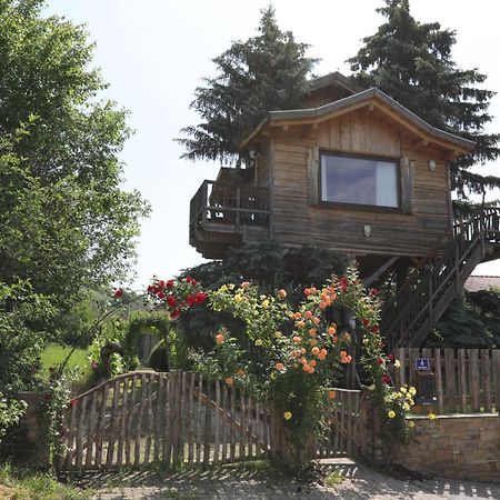 Baumhaus Villa Imbach Kültér fotó